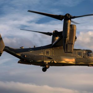 Spottersday 2019 Mathias Bijnens  1 