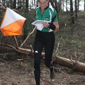 10WINF190425 NCD ORI 2019 NR   95 